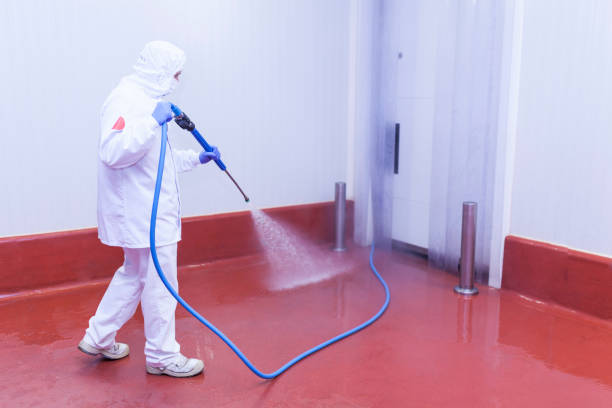 Best Oil Spill Cleanup  in Marquette, MI